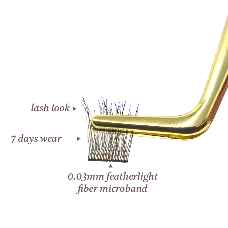AILASH Kit - Natural Edition