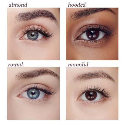 AILASH Kit - Wispy Edition