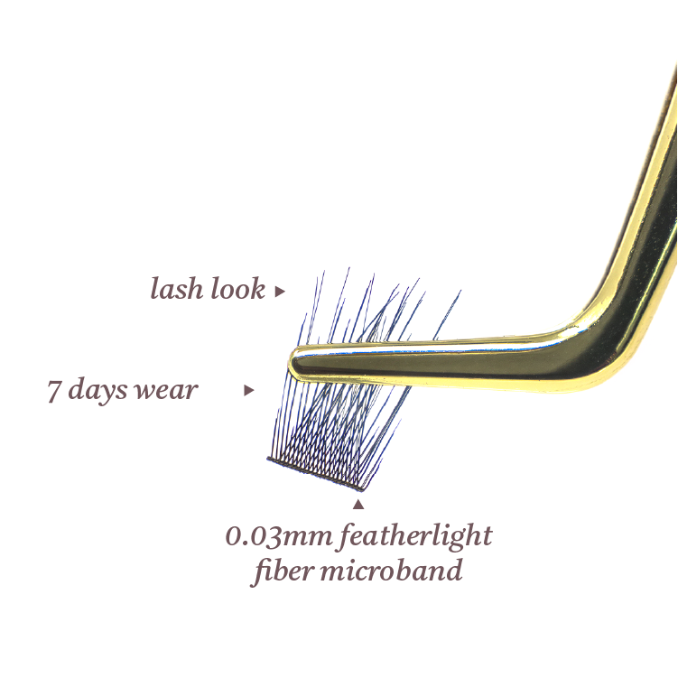 AILASH Kit - Wispy Edition